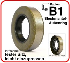 Simmerringe Bauform B1